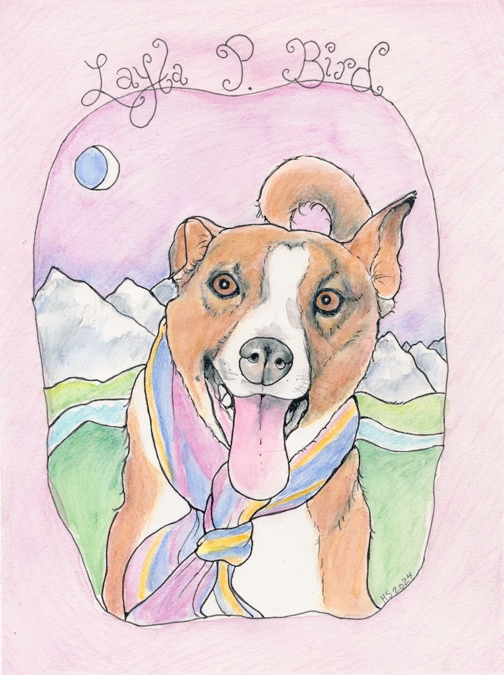 490129019_1269571448503237_6560286542772598691_n