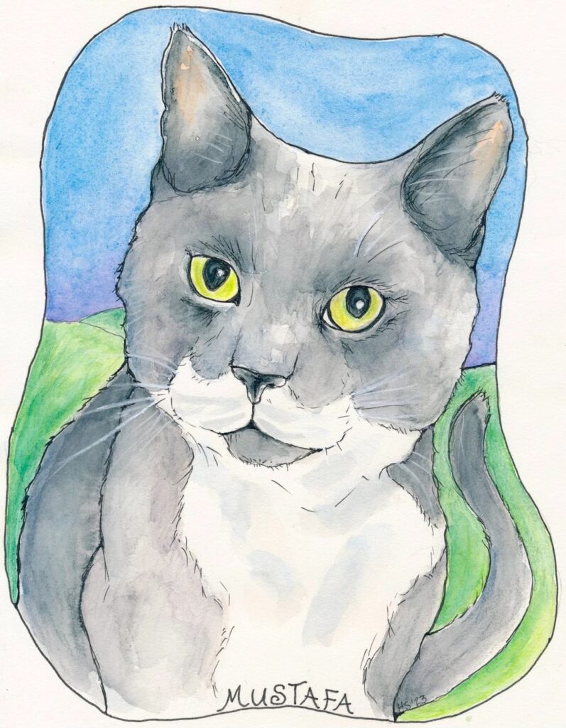 490408214_1268816821912033_5531176686920256886_n