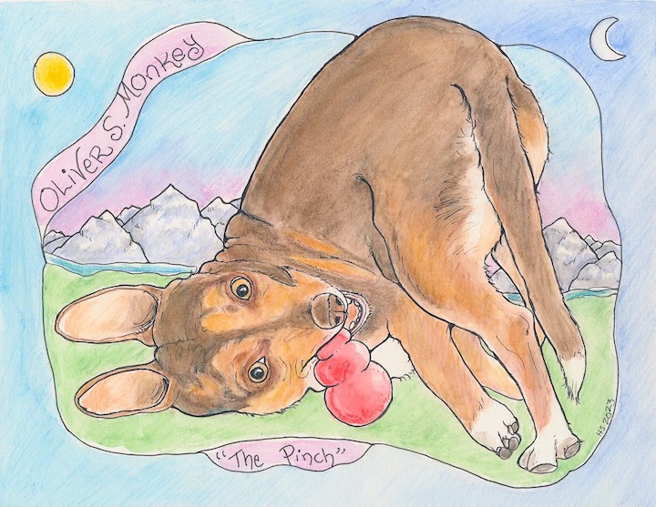 490959099_1273780398082342_6590518178665451732_n