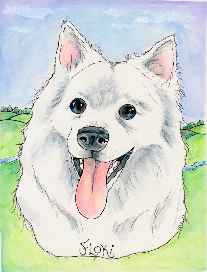 491424717_1273786498081732_2016509660368712083_n