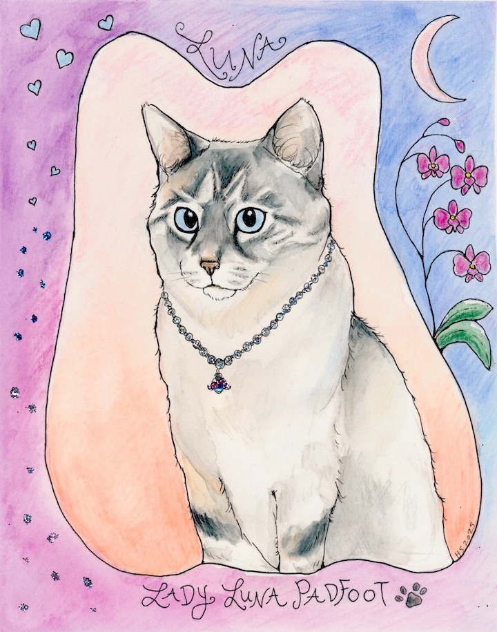 529346406_1373146864812361_1651977497562250183_n