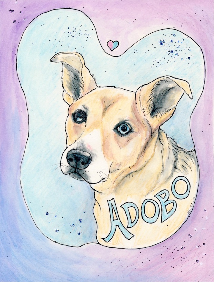 538622152_1392614822865565_6397754928626162013_n