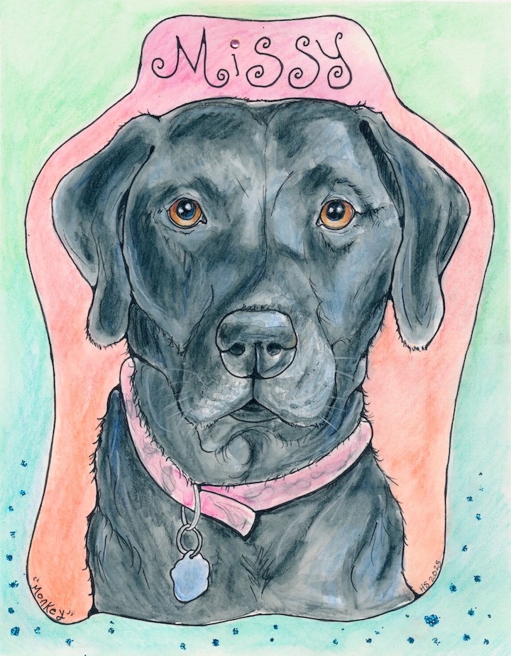 603902511_1502392705221109_4069608793837369604_n