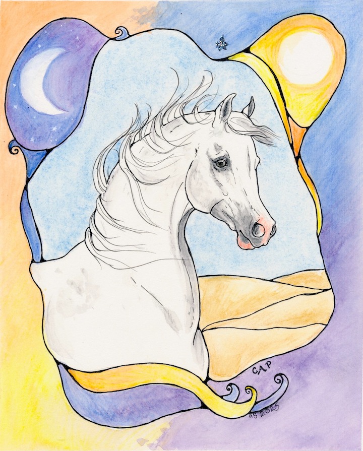 605821056_1502047391922307_5522240710041817452_n