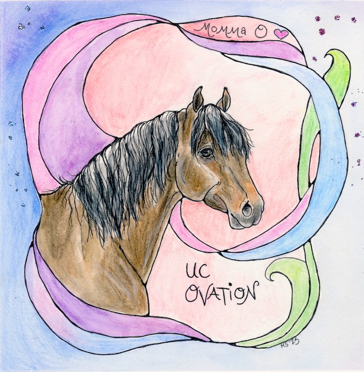 615820424_1515039620623084_7905654963532006767_n